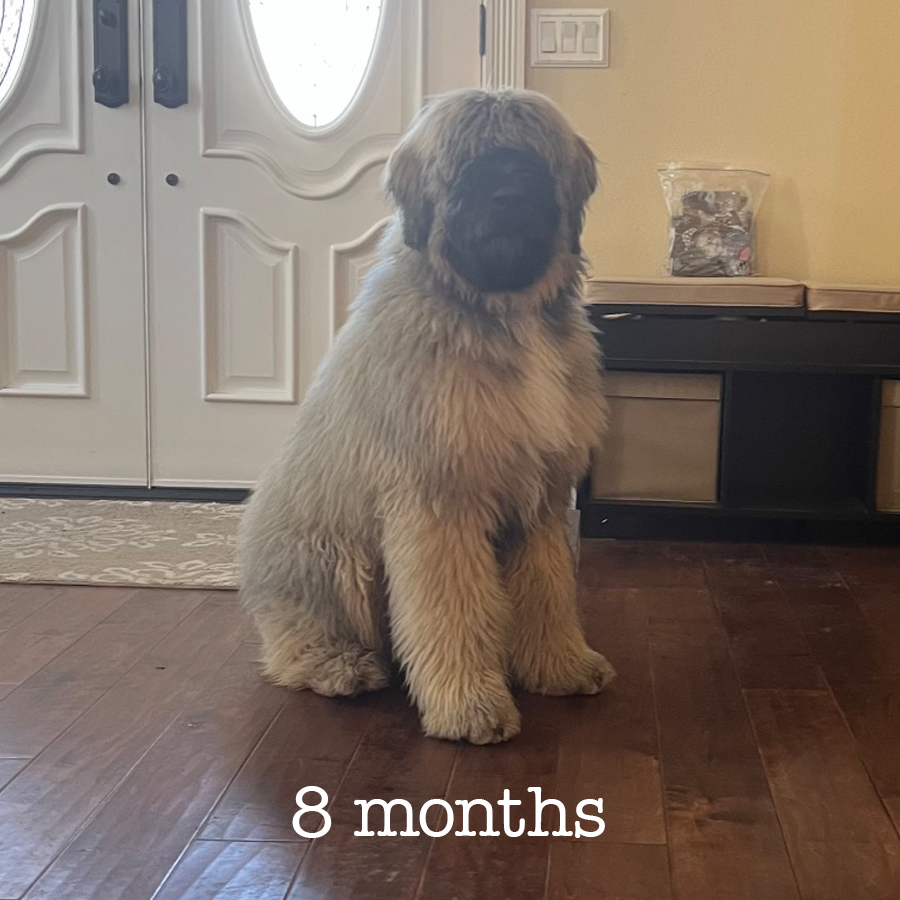 8 months